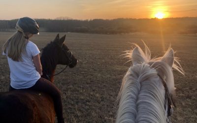 Storytelling the Grievable Lives of Animal Companions